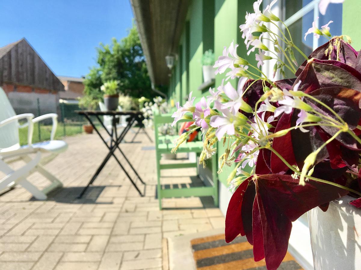 Apartmenthaus Luett Meer Ludorf Екстериор снимка